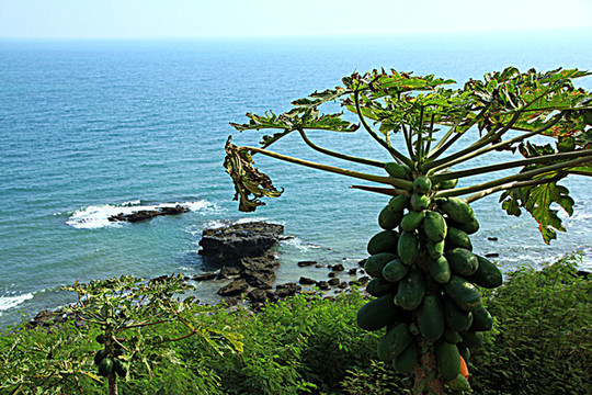 北海潿州島