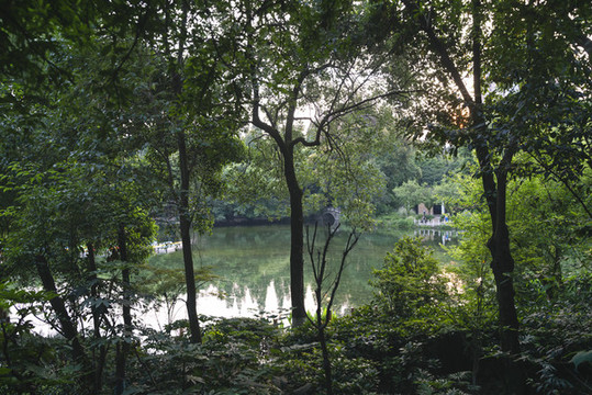 公園的早晨
