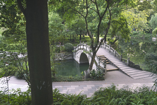 公園的早晨