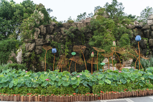 公園的早晨