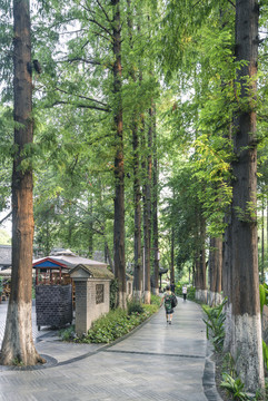 公園的早晨