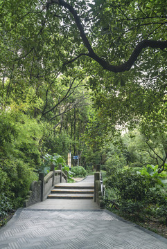公園的早晨