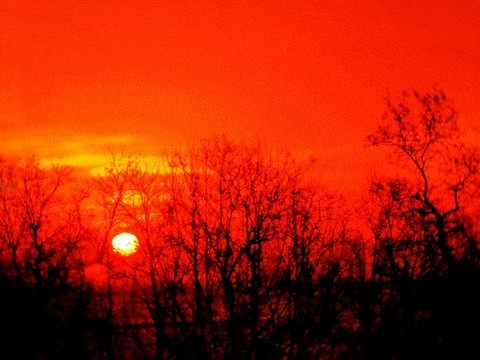 夕陽