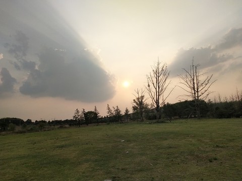 風(fēng)景