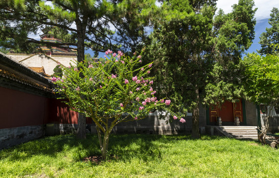 頤和園古建筑