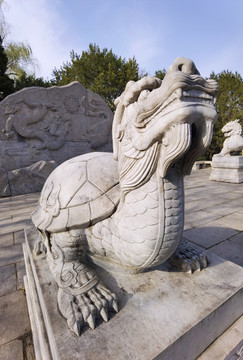 龍龜