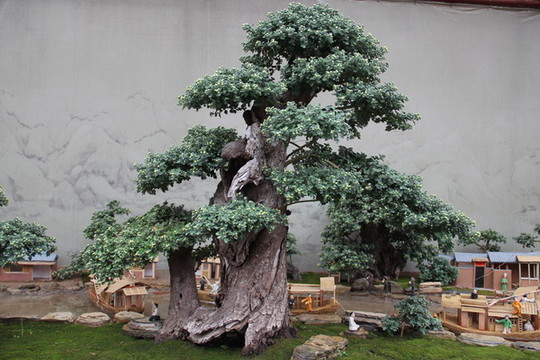開封菊花展清明上河圖