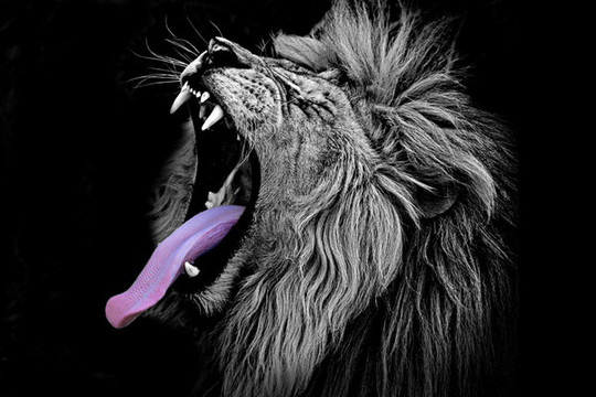 獅子