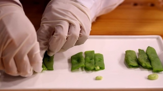 不同品種種類扁豆對比