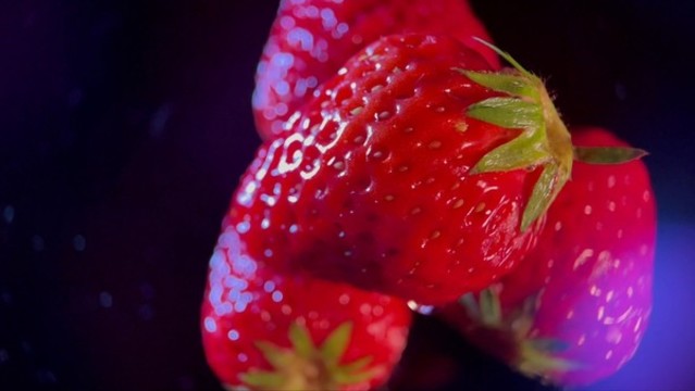 丹東大草莓