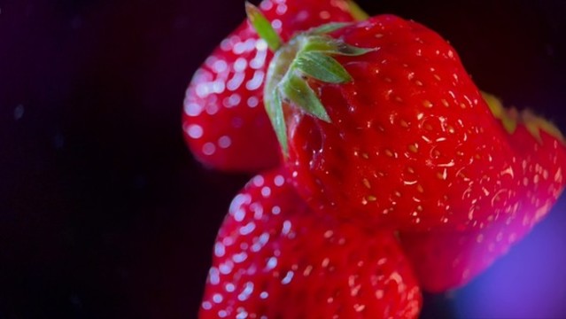 丹東大草莓