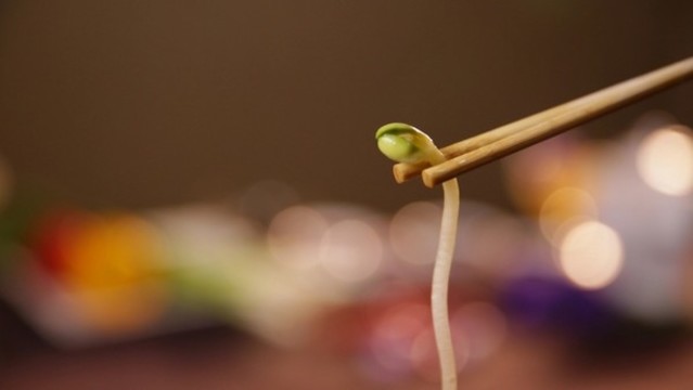 豆芽韭菜粉絲炒合菜食材