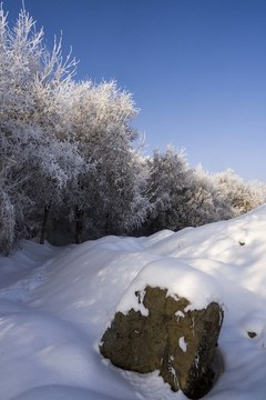 藍(lán)天雪景