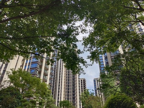 城市風(fēng)光