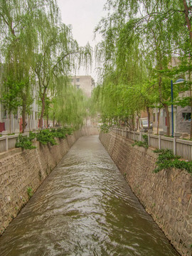 洛陽(yáng)市街景