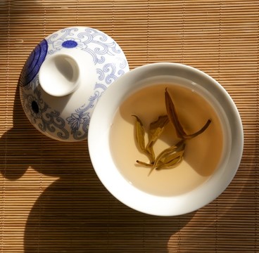 玉螺王