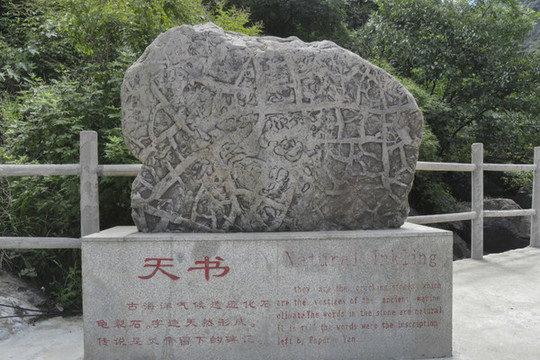 古海洋氣候遺跡化石龜裂石