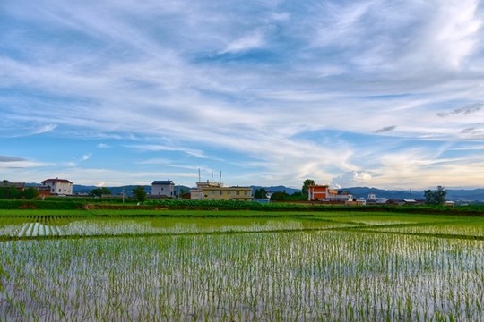 農(nóng)村田園風(fēng)光