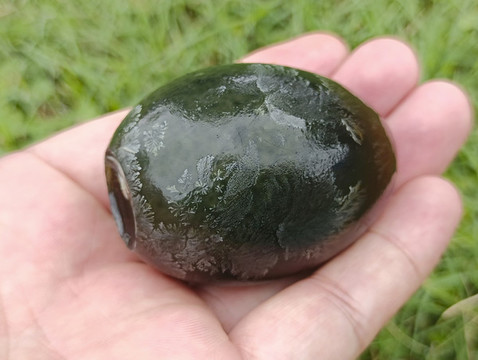 手里皮蛋