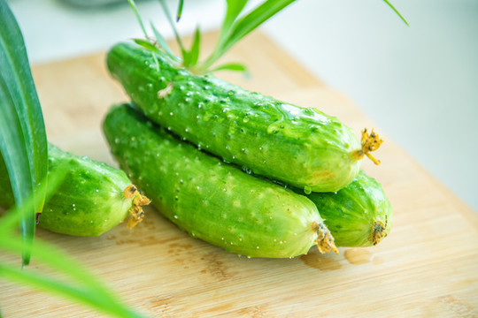 農(nóng)家黃瓜