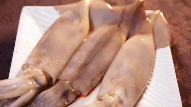墨斗魚烏賊魷魚
