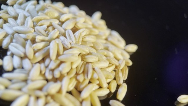 膳食纖維健康燕麥
