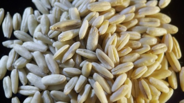 膳食纖維健康燕麥