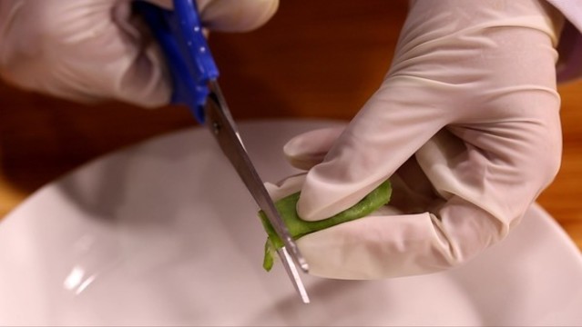 試液試劑檢測扁豆毒素