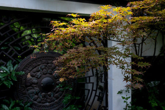 北京園博園庭院風(fēng)景