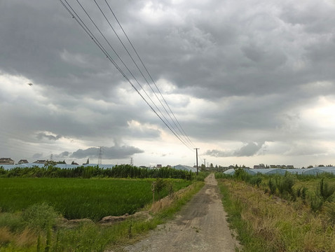 臺風(fēng)天鄉(xiāng)村路