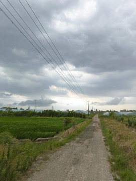 鄉(xiāng)村土路大棚種植