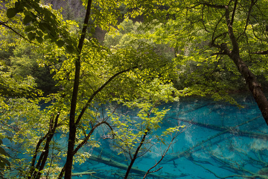 九寨溝風景