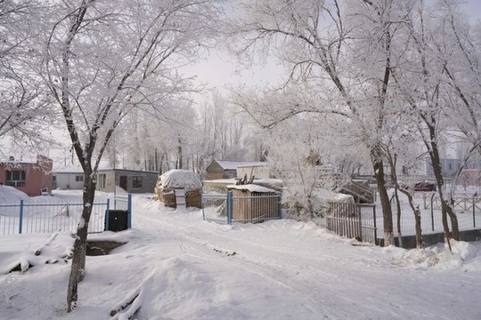 雪景