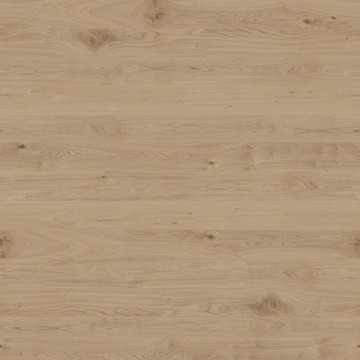 木紋