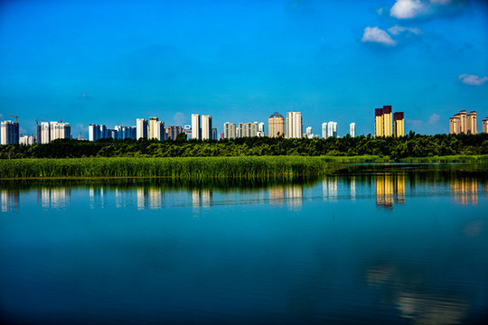 城市與水