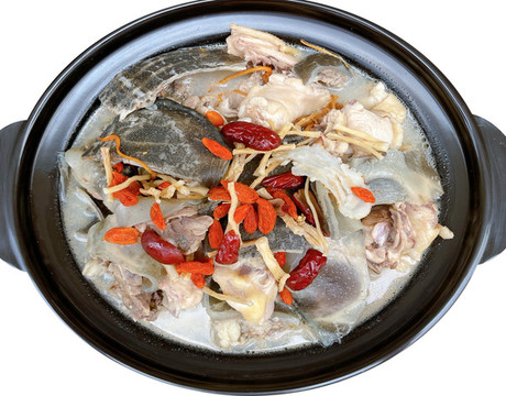 藥膳甲魚雞煲