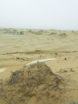 尼雅古城遺址