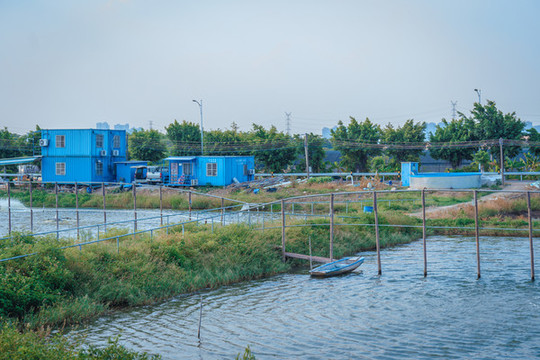 小漁村觀龍島風(fēng)貌