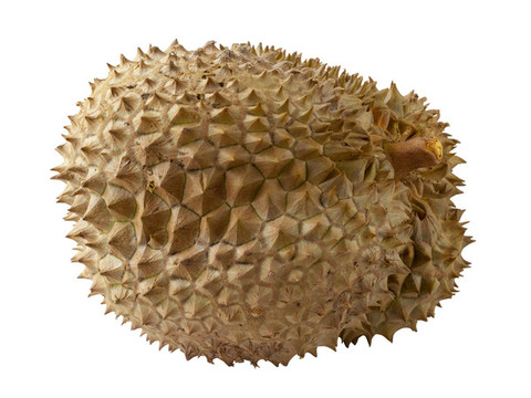 美味的熱帶水果榴蓮