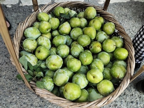 奈李