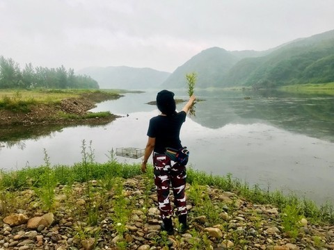 煙霞湖上醉夏風(fēng)