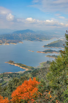 花亭湖