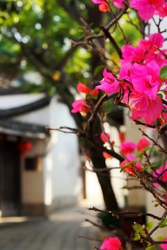 福州老街