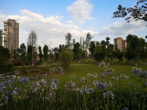 城市公園