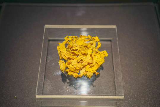 西藏植物顏料野菊花