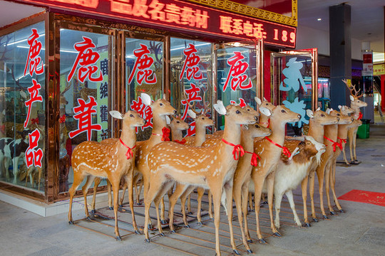 亳州中藥材市場