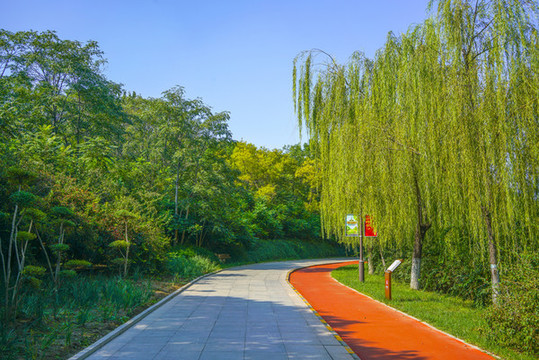 公園步道
