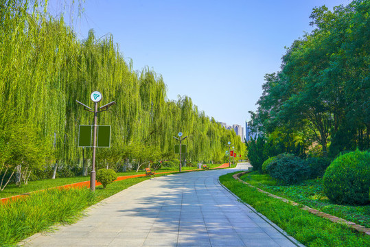 公園步道