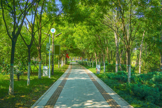 公園步道