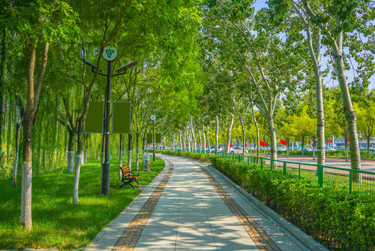 公園步道